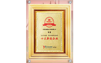 十大新銳企業